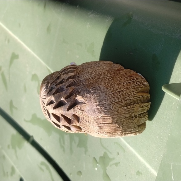 COPY - Great buffalo pottery piece - Picture 4 of 4